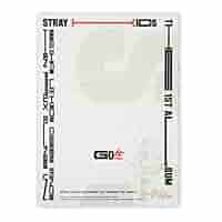 STRAY KIDS 1st Album - GO生 CD + Photobook + Photocards +
