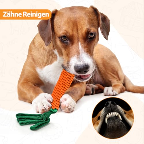 LIFLIX Hundeseilspielzeug Seil Karotte, Zerrspielzeug für Hunde, Hundespielzeug Geflochten mit Knitterpapier Anhängern, Möhre