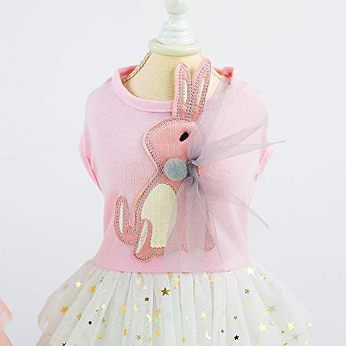 Vestido para perro pequeño y mediano miniatura 5