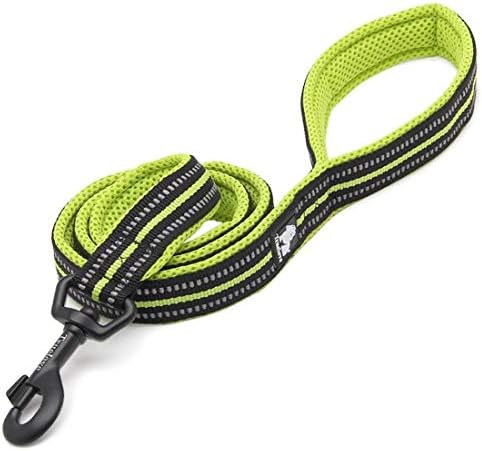 TRUE LOVE Truelove Dog Leash TLL2111 Puppy Walking Lead Leash,Pet Chain Rope,Handle Traction Rope,Padded Reflective Night Safe Leading Length 200cm Now Available (M, Blue)