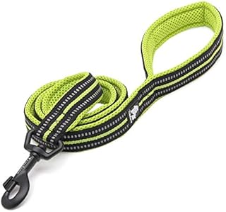 TRUE LOVE Truelove Dog Leash TLL2111 Puppy Walking Lead Leash,Pet Chain Rope,Handle Traction Rope,Padded Reflective Night Safe Leading Length 200cm Now Available (M, Blue)