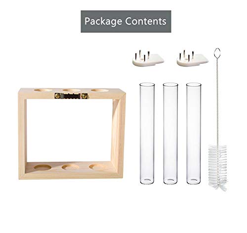 Mkono Wall Hanging Glass Planter Plant Terrarium Modern Flower Bud Vase In Wood Stand Rack Tabletop Terrarium For Propagating Hydropoinc Plants, Home Office Decoration With 3 Test Tube, Small, Beige #TOP6