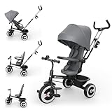 Kinderkraft Aston 2 PRO Dreirad mit Schiebestange, drehbarer 360° Sitz Click & Twist, Halbliegefunktion vor- & rückwärts, Freilaufpedale, Verdeck mit Sichtfenster, Grau