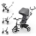Kinderkraft ASTON 2 PRO Triciclo Passeggino, Sedile Girevole 360°, Grigio
