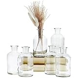 Farmlyn Creek Narrow Jar Vases - 2.8 in x 5 in, 7.5 oz, 6 Pack, Clear Glass - Apothecary-Style Jars...