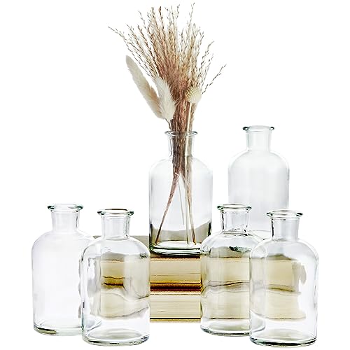 Farmlyn Creek Narrow Jar Vases - 2.8 in x 5 in, 7.5 oz, 6 Pack, Clear Glass - Apothecary-Style Jars & Glass Bottle Vases for Propagation & Mini Decorative Bottles by Farmlyn Creek - Used condition - US$18.03