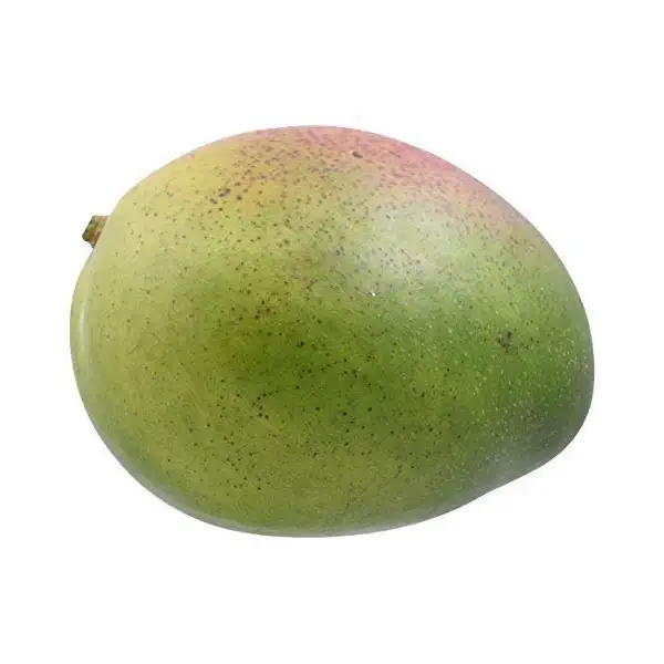 PRODUCE Keitt Mango 1