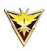 Yellow Team Instinct Pin for Backpacks Leadership Lapel Pins