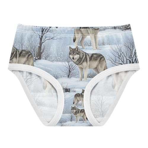 Toddler Panties, Cool Wolf Girls' Cotton Brief Underwear, 2–8 Years