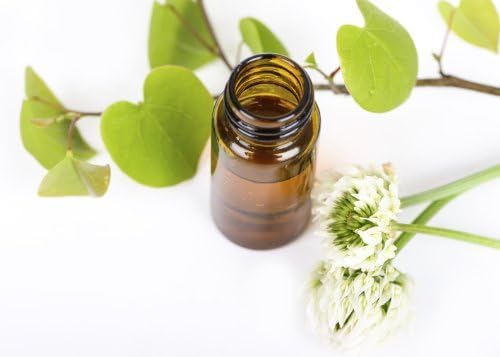 Gentian Root Non Alcoholic Tincture Gentiana Lutea 500ml 16.9 OZ