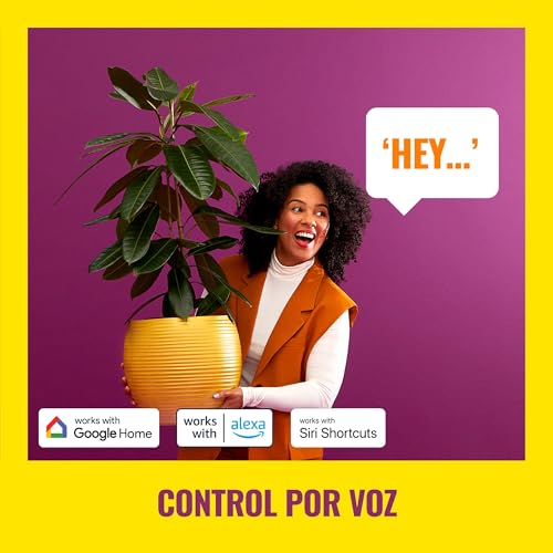 WiZ - Productos continente