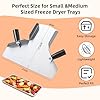 Hillban Freeze Dryer Scoop with Double Handle, Stainless Steel Food Scoop Compatible with Harvest Right Trays, Freeze Dryer Accessories, Quick Fill Tool for Popcorn, French Fries, Skittles, Snacks