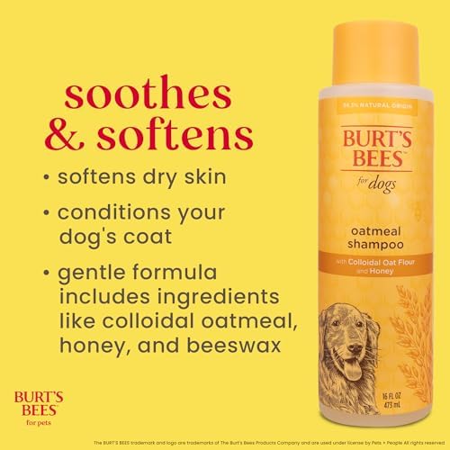 Burts Bees for Pets Oatmeal Dog Shampoo with Honey, Unscented, 16 Fl Oz - 2