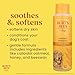 Burt’s Bees for Pets Oatmeal Dog Shampoo with Honey, Soothing Dog Shampoo for Itchy and Sensitive Skin, pH Balanced Formula That Gently Cleans and Moisturizes Dog Coats, 16 Fl Oz