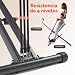 Imagen de Sunny Health & Fitness Ejercitador Smart Upright Row-N-Ride