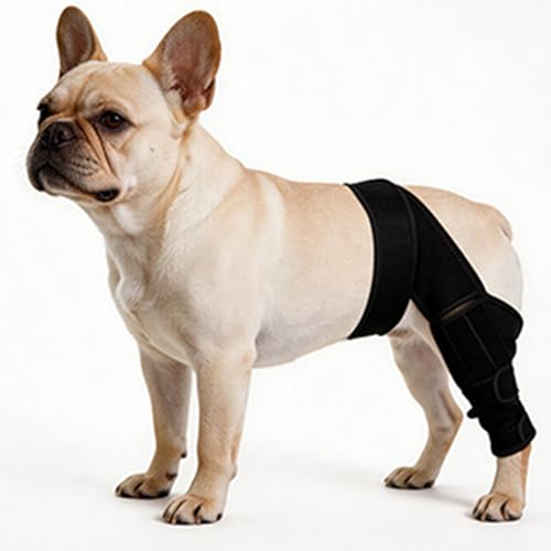 ZKEEWUP Dog Knee Brace for Leg, Adjustable Dog Braces for Torn ACL Support, Built in Side Stabilizers, Breathable Dogs Hip Brace for Arthritis Relief, Joint Stability and Post Surgery Recovery