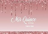  Mis Quince Años Libro de Firmas: Libro de Quinceanera con 130 Páginas y Registro de Regalos, Goteo De Chocolate en Rosa Blush