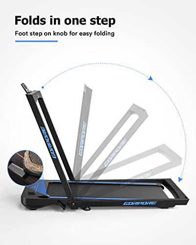 https://m.media-amazon.com/images/I/41oGw-GGOTL._SL500_.jpg