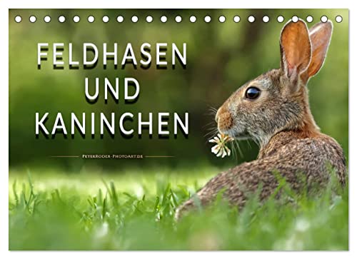 Preisvergleich Produktbild Feldhasen und Kaninchen (Tischkalender 2023 DIN A5 quer), Calvendo Monatskalender