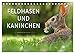 Produktbild Feldhasen und Kaninchen (Tischkalender 2023 DIN A5 quer), Calvendo Monatskalender