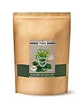 Biojoy BIO-Spirulina Pulver, Spirulina Algen, 100% naturbelassen und rein pflanzlich (1 kg)