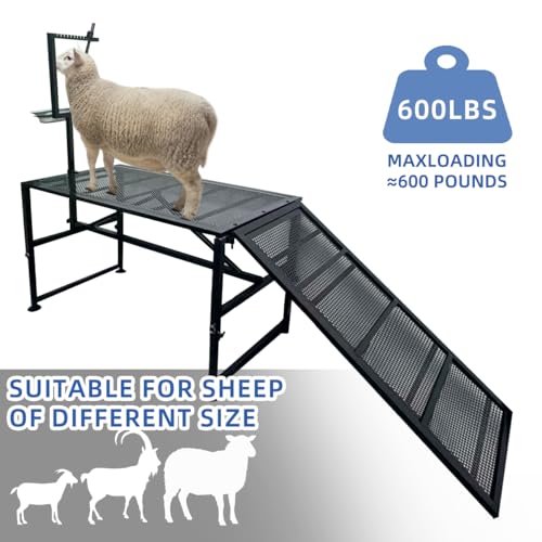 TERCFDSK Heavy Duty Height-Adjustable Metal Goat Milking Stand with Ramp & Feed Bin, 600LBS Capacity Livestock Trimming Stand for Goats, Lambs & Sheep