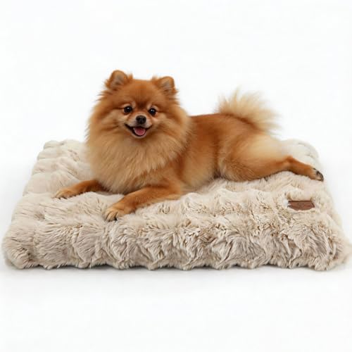 BingoPaw Cama para Perros Medianos, 76x51x10cm Cama Perro Lavable, Colchón para Perro Impermeable Funda Peluda Removible y Base Antideslizante, para Perros Medianos, Beige