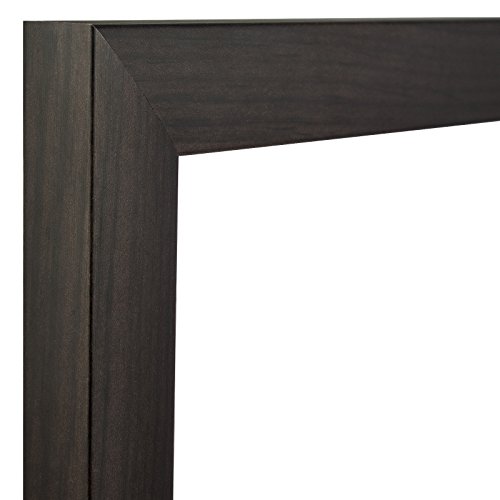Craig Frames 232477782228 1-Inch Wide Picture/Poster Frame in Smooth Wood Grain Finish, 22 by 28-Inch, Brazilian Walnut