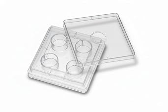 SPL IVF Multi Well Culture Plate, PS,4 Wells, 66x66 mm,TC Treated, Sterile, 4 x Sleeve 120/Case