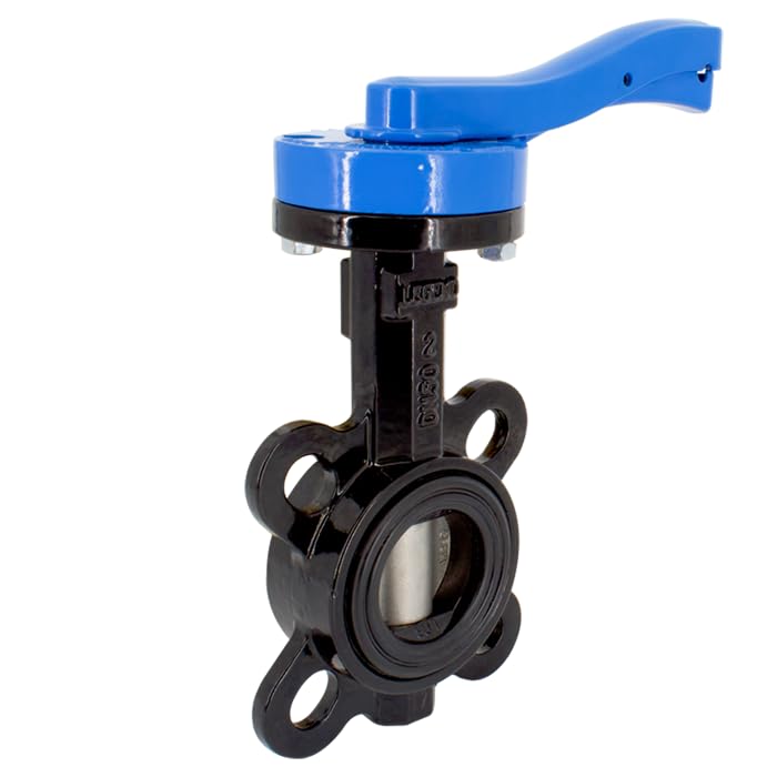 Vanne papillon T-335SS Legend Valve 116-417 en acier inoxydable EPDM de 20,3 cm