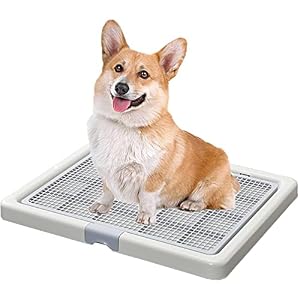 Smart Paws Corgi Töpfchentrainingstoilette 65x52cm