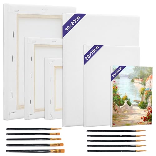Juego de Bastidores Lienzo, 6 Piezas Lienzos para Pintar, 30x20, 20x15, 15x10 cm Pintura de Algodón Marco de Madera, Lienzos Incluye 10 Pinceles, para Pintar Retratos y Paisajes, Blanco