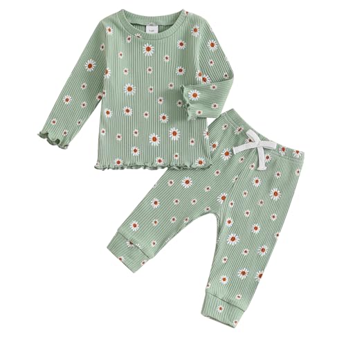 Baby Girl Fall Clothes Set Floral Print Long Sleeve Tops Pants Cute Infant Toddler Outfits 6 12 18 24 Months 2T (Daisy Green, 18-24 Months)