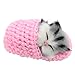 Coolayoung 4Pcs Sleeping Cat in Slipper Doll Toy, Mini Kitten in Shoe with Meows Sounds Decor Hand Toy Gift for Kids Boys Girls