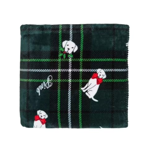 Victoria's Secret Pink Cozy Plush Sherpa Blanket Green Plaid Dog Puppy Size 60