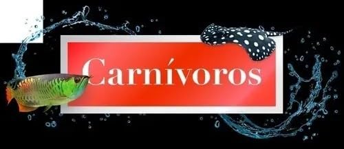 POYTARA - Ração Carnívoros de Fundo P 1kg (Bag)