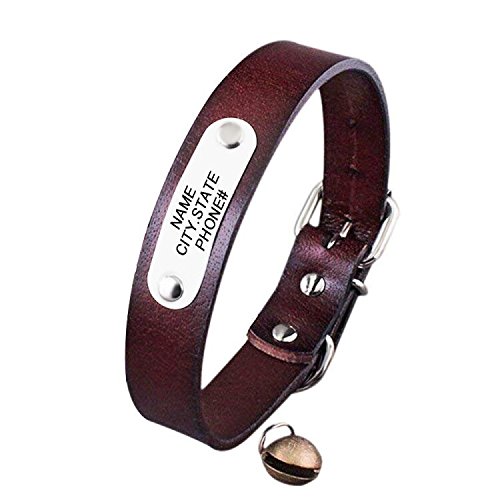 Godmoy Collier D'identification Personnalisé pour Chien - Colliers en Cuir Personnalisés avec Nom et Numéro de Téléphone pour Animaux de Compagnie - 6 Tailles: XXS, XS, S, M, L et XL Cover