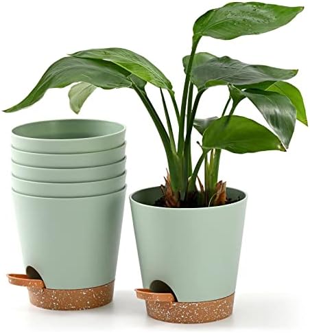 Qaobo Plant Pots 6 PCS 5 inch Self Watering Planters High Drainage Flowers Pot for Indoor Outdoor Plants with Reservoir Tray and Watering Lip Gardening Planter Garden Flower Pots, Green