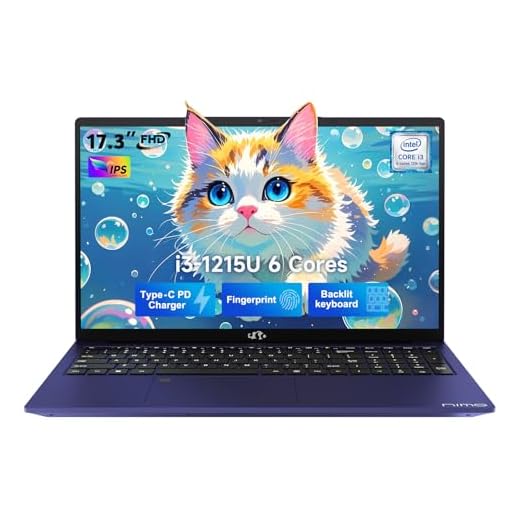 NIMO 17.3" Large-Screen Budget Workhorse
