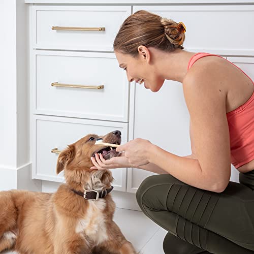 Prymal Pets Dog Toothbrush I 4-Pack Two Sided Bamboo Toothbrush for Small and Large Dogs & Cats I Soft Bristles Gentle for Easy Dog Teeth Brushing & Dental Care