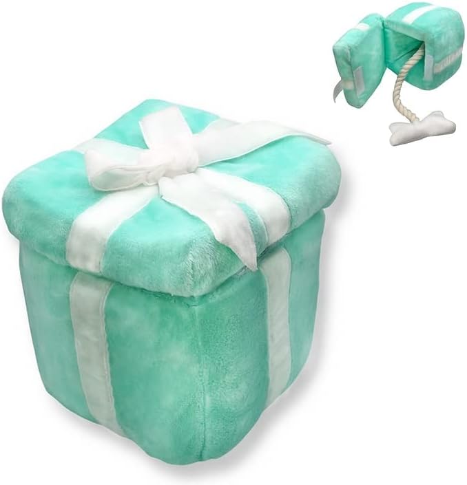 Cheeki Studios 'Pawsent Plushie' Dog Toys - Birthday Surprise Interactive Present Plush Gift (Mint)