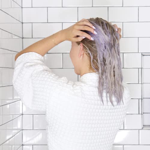 Color Balance Purple Shampoo | For Cool Blonde, Gray Hair | Eliminate Brassy Yellow Tones | Boost Color Vibrancy & Shine | Uv Protection | With Rosehip Oil & Green Tea Extract | 33.8 Fl Oz #TOP5
