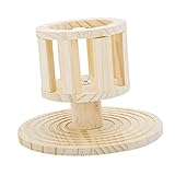 Mangeoire - mangeoire durable, résistante à l'usure et à grignoter, saine et , mangeoire