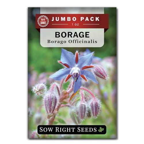 Sow Right Seeds - Bulk Borage Seeds for Planting - 1 Ounce, 1200 Seeds - Non-GMO Heirloom - Jumbo Pack with Instructions to Plant a Home Herb Garden Outdoors - Enjoy a Bountiful Harvest