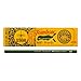 Tombow 51532 8900 Drawing Pencils, 2B, 12-Pack. Long Lasting, Quality Graphite Writing Pencils