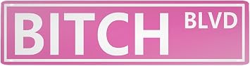 Retro New Metal Sign BIT-CH BLVD Tin Sign Gifts for women, Outdoor Aluminum Sign, Road Signs,woman Cave,Street Signs 16" x 4"