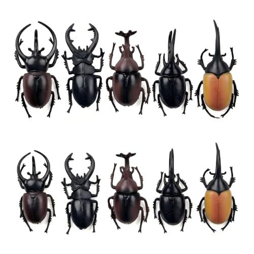 10 Pcs Plastic Beetle Figurines, Realistic Insect Models