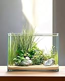 Glass Fish Tank, 3.5 Gallon Easy to Maintain Small Aquarium for Betta,Snails, Shrimp and Aquatic Planting.