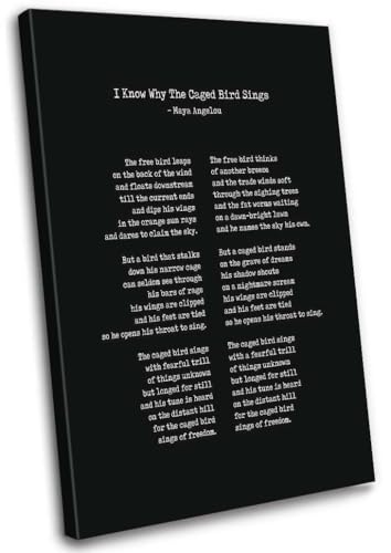 Winduryi I Know Why The Caged Bird Sings Wall Art