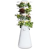 Lettuce Grow Farmstand Nook 4ft.7” Vertical Hydroponic Garden Tower - Self-Watering, Vertical Hydroponic Tower with LED Grow Lights, 20 Live Seedlings, Smart Timer - Indoor Vertical Growing Tower